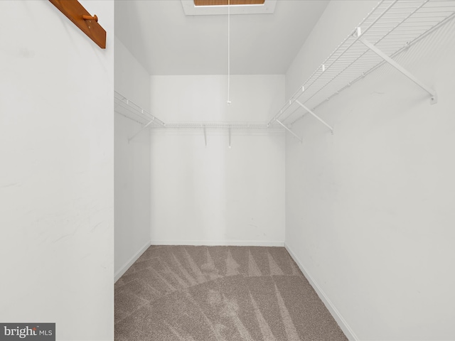 3501 Marthas Vineyard Way, Edgewater, MD 21037 - walk in closet with carpet