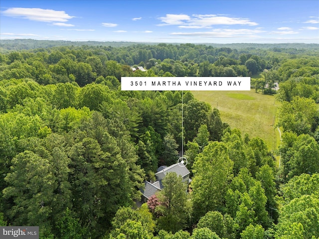 3501 Marthas Vineyard Way, Edgewater, MD 21037 - drone / aerial view of a forest