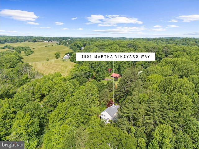 3501 Marthas Vineyard Way, Edgewater, MD 21037 - bird's eye view of a heavily wooded area
