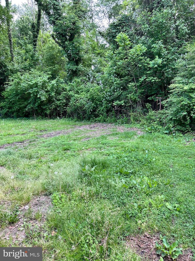 818 Washington St, Cambridge, MD 21613 - view of yard