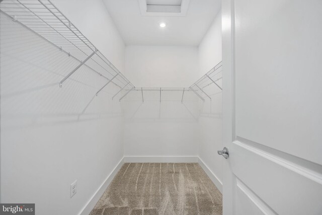 7404 Rocky Creek Ter, Annandale, VA 22003 - spacious closet with attic access and carpet flooring