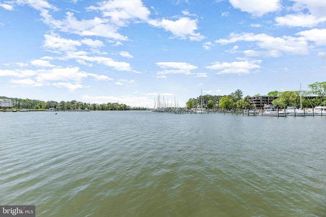 1104 Back Creek Loop Unit 1104, Solomons, MD 20688 - water view featuring a dock
