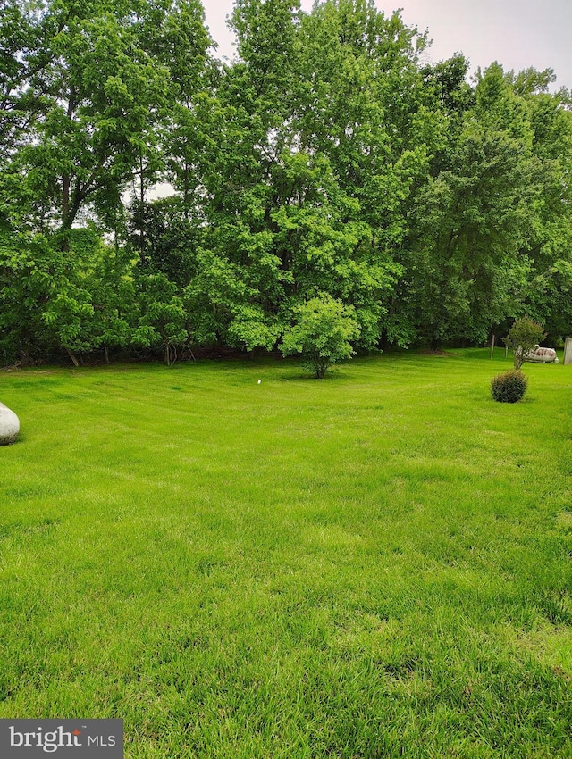 1412 Albert Dr, Bowie, MD 20721 - view of green lawn