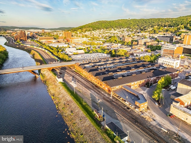 11 W 2nd St Unit 130, Bethlehem, PA 18015 - bird's eye view of a large body of water and a notable bridge