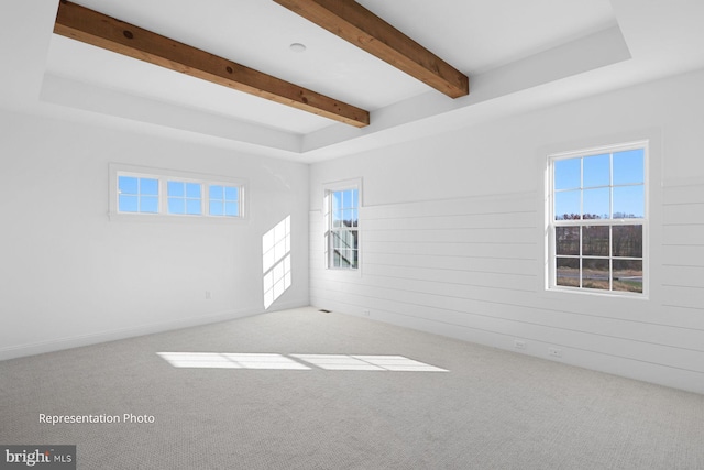 723 Brindle Farm Ln, Mechanicsburg, PA 17055 - carpeted spare room with healthy amount of natural light and beamed ceiling