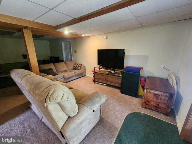 87 Summers St, Inwood, WV 25428 - living area featuring carpet flooring, a drop ceiling, and baseboards