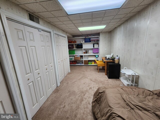 87 Summers St, Inwood, WV 25428 - carpeted bedroom with multiple closets and a paneled ceiling