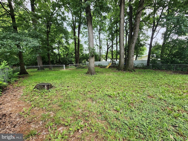 87 Summers St, Inwood, WV 25428 - view of yard