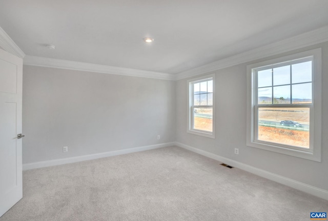 750 Park Ridge Dr, Crozet, VA 22932 - spare room featuring crown molding, light colored carpet, and baseboards