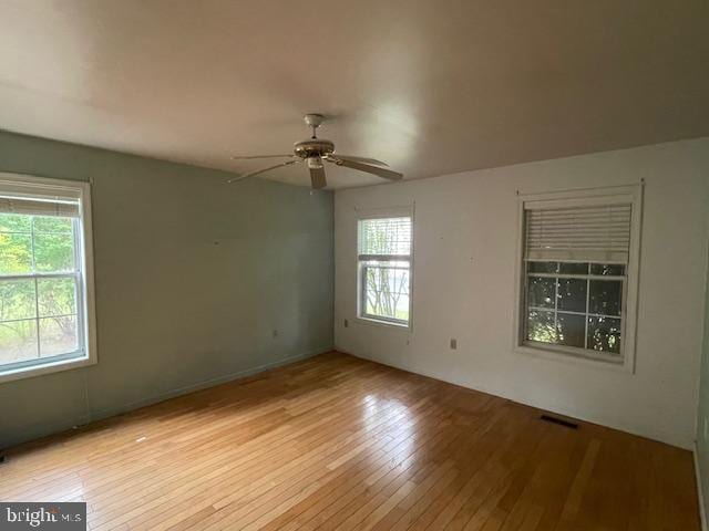 8 Love Creek Dr, Lewes, DE 19958 - empty room with healthy amount of natural light, light wood-style flooring, and ceiling fan