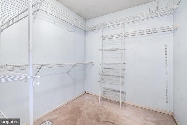 351 Point To Point Rd, Bel Air, MD 21015 - walk in closet featuring carpet floors