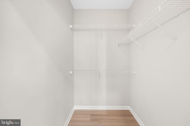 11345 Aristotle Dr Unit 6-311, Fairfax, VA 22030 - walk in closet featuring wood finished floors