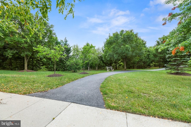4503-J Dunton Ter, Perry Hall, MD 21128 - view of community with a yard