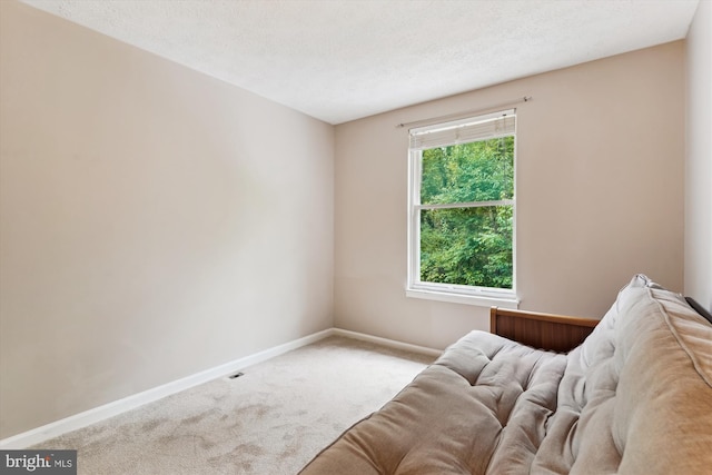 9175 Forest Lawn Ct, Springfield, VA 22152 - sitting room featuring carpet flooring, baseboards, and a textured ceiling