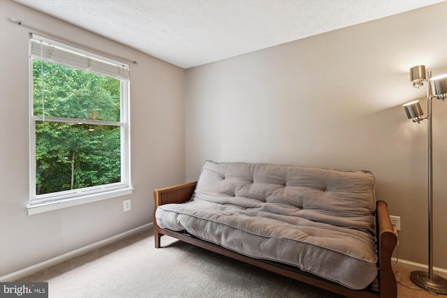 9175 Forest Lawn Ct, Springfield, VA 22152 - sitting room with carpet, baseboards, and a textured ceiling