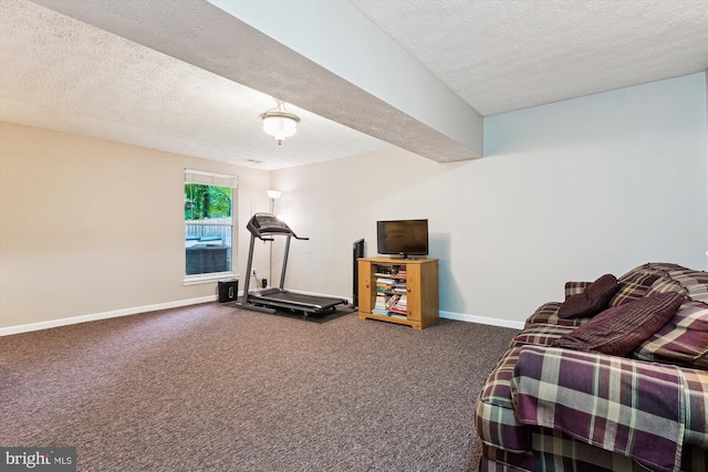 9175 Forest Lawn Ct, Springfield, VA 22152 - exercise area featuring a textured ceiling, carpet, and baseboards