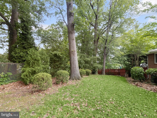 3807 24th Ave, Temple Hills, MD 20748 - view of yard