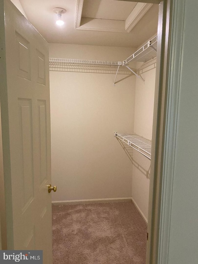 3299 Corcyra Ct, Woodbridge, VA 22192 - walk in closet with carpet flooring