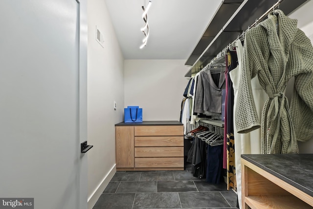2201 Burgee Ct, Reston, VA 20191 - view of walk in closet