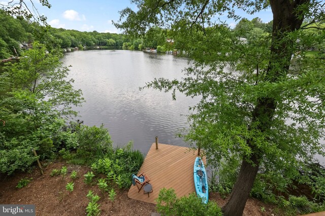 2201 Burgee Ct, Reston, VA 20191 - water view with a boat dock