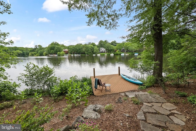 2201 Burgee Ct, Reston, VA 20191 - dock area with a water view
