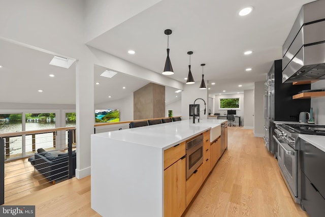 2201 Burgee Ct, Reston, VA 20191 - kitchen with modern cabinets, high end appliances, a sink, extractor fan, and light wood-style floors