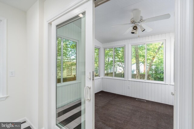 5312 Baltimore Ave, Chevy Chase, MD 20815 - unfurnished sunroom featuring carpet flooring