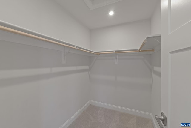 770 Park Ridge Dr, Crozet, VA 22932 - spacious closet with carpet