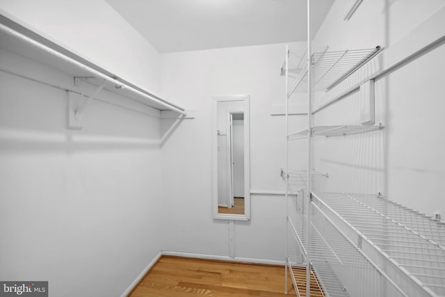 2893 Sutton Oaks Ln, Vienna, VA 22181 - spacious closet with wood finished floors