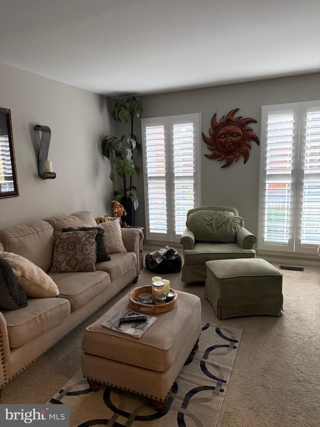 5431 Plymouth Meadows Ct, Fairfax, VA 22032 - view of carpeted living area