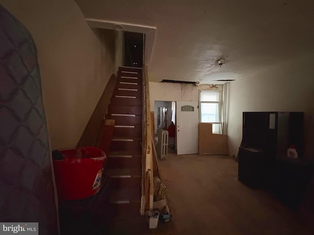 21 E Silver St, Philadelphia, PA 19134 - stairway featuring carpet floors
