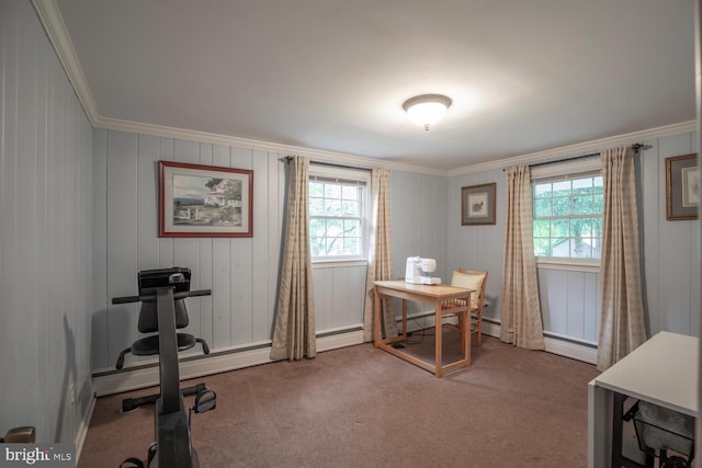 128 Cherry Ln, Doylestown, PA 18901 - carpeted home office with healthy amount of natural light and crown molding