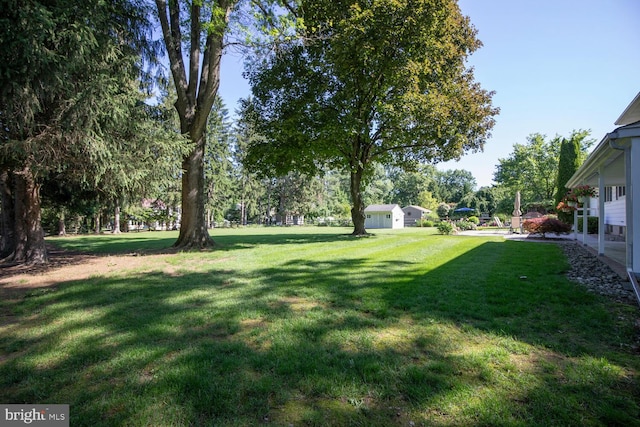 128 Cherry Ln, Doylestown, PA 18901 - view of green lawn