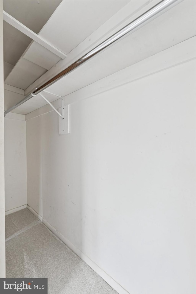 289 Summit House Unit 289, West Chester, PA 19382 - spacious closet with carpet