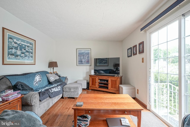618 Walden Way, Lumberton, NJ 08048 - living area featuring wood finished floors and a textured ceiling