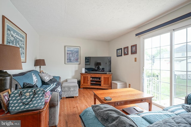 618 Walden Way, Lumberton, NJ 08048 - living area featuring light wood-style flooring and a textured ceiling