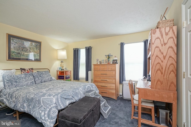 618 Walden Way, Lumberton, NJ 08048 - bedroom featuring dark colored carpet and a textured ceiling