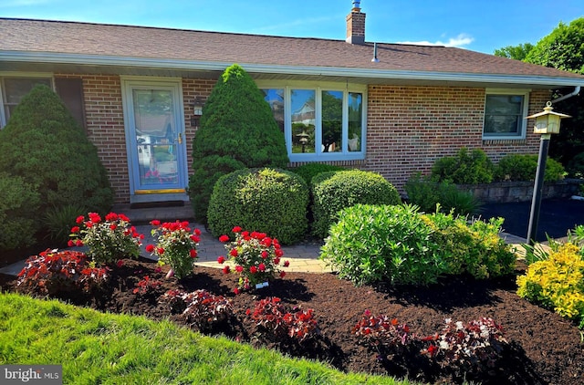 464 E Walnut St, Kutztown, PA 19530 - doorway to property featuring brick siding, a chimney, and roof with shingles
