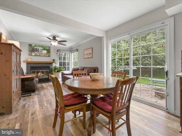 6290 Pinyon Pine Ct, Eldersburg, MD 21784 - dining room featuring a glass covered fireplace, light wood-type flooring, and ceiling fan