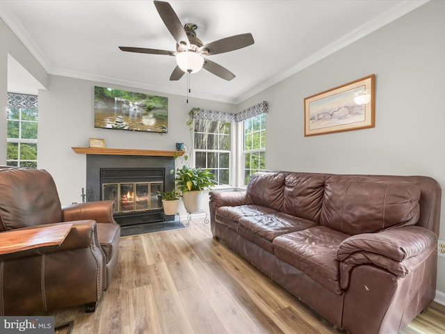 6290 Pinyon Pine Ct, Eldersburg, MD 21784 - living room featuring crown molding, wood finished floors, ceiling fan, and a glass covered fireplace