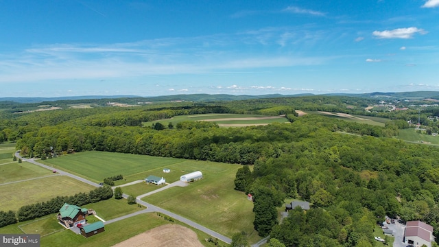 386 Marlin Savage Rd, Accident, MD 21520 - bird's eye view of a heavily wooded area