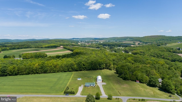 386 Marlin Savage Rd, Accident, MD 21520 - drone / aerial view of a heavily wooded area