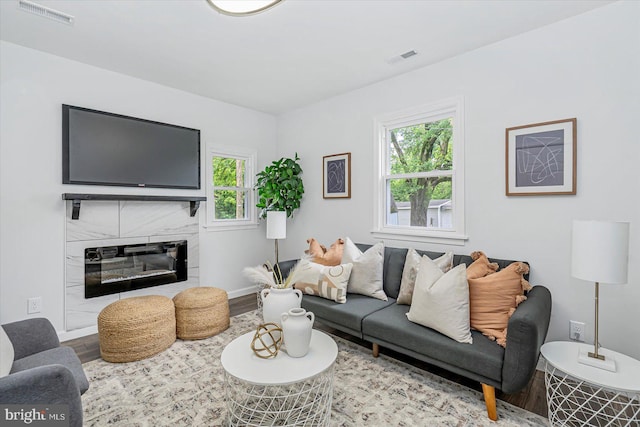 10 Taxi Way, Baltimore, MD 21220 - living room featuring wood finished floors, healthy amount of natural light, baseboards, and a premium fireplace