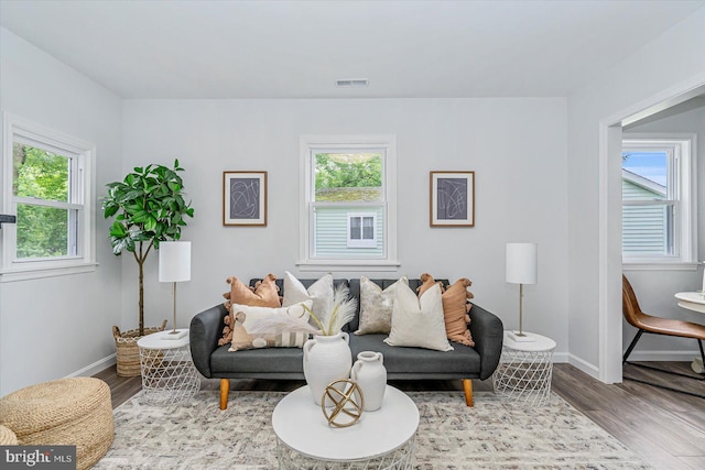 10 Taxi Way, Baltimore, MD 21220 - living area featuring wood finished floors and baseboards