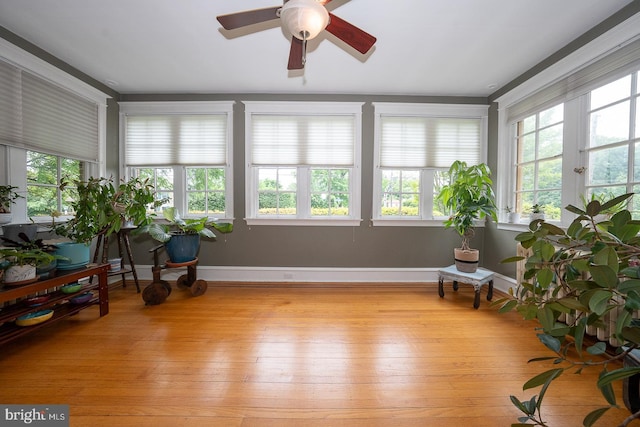 8317 High School Rd, Elkins Park, PA 19027 - sunroom / solarium with french doors and hardwood / wood-style flooring