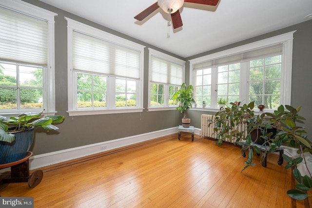 8317 High School Rd, Elkins Park, PA 19027 - sunroom with radiator, wood-type flooring, and french doors