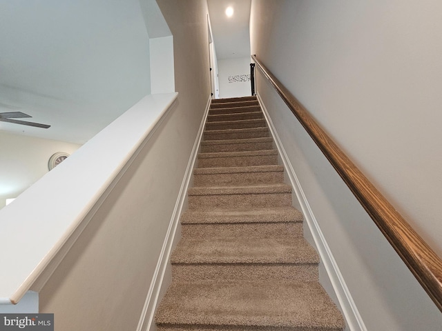 529 Birchwood Dr, Salisbury, MD 21804 - stairs with carpet flooring and ceiling fan