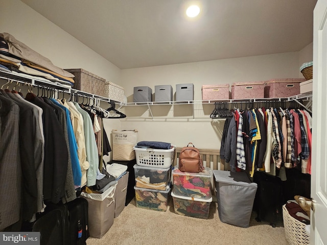 529 Birchwood Dr, Salisbury, MD 21804 - walk in closet with carpet floors