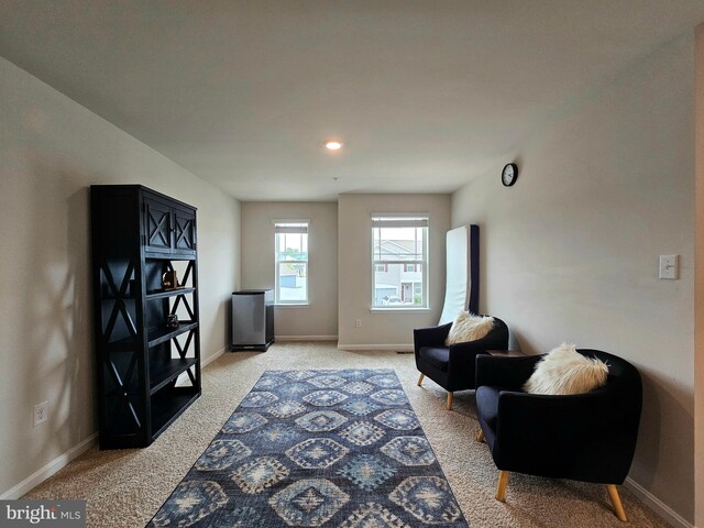 529 Birchwood Dr, Salisbury, MD 21804 - sitting room with light colored carpet and baseboards