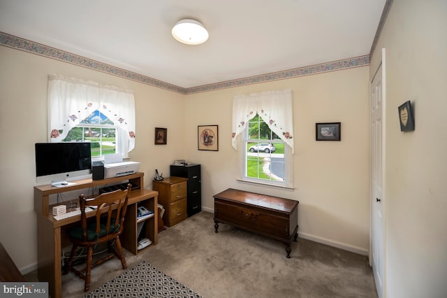 806 Edwards Dr, Fredericksburg, VA 22405 - home office with healthy amount of natural light, carpet, and baseboards